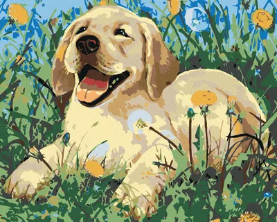 Produktbild von Diamondi - Diamond painting - HUNDEWELPE IM LÖWENZAHN, 40X50 cm, ohne Keilrahmen