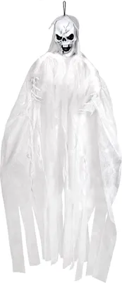 Produktbild von Totenkopf-Geist 150cm