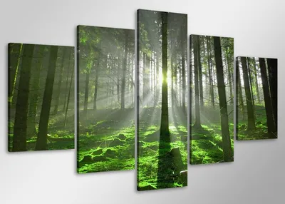 Produktbild von 6406 Wald Leinwandbild 5-teilig 100x50 cm