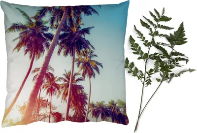 Produktbild von MuchoWow® Zierkissen Sofakissen Wohnzimmer Dekokissen 50x50 cm Palme - Sommer - Retro - Sonne - Komfort - Sofakissen