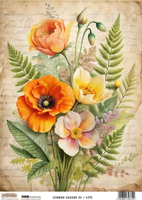 Obrázok produktu pre Ryžový papier na dekupáž A4 - Scraplove - Summer Garden 24