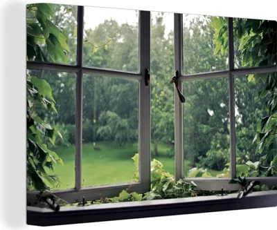 Produktbild von MuchoWow® - Leinwandbilder - Überwuchertes altes Fenster, Wandbild, Wanddeko Bilder Wohnzimmer, 30x20 cm