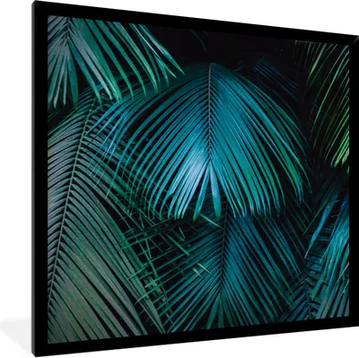 Produktbild von MuchoWow® Gerahmtes Poster Palmen - Dschungel - Blätter 40x40 cm - Poster mit Schwarzem Bilderrahmen Wandposter Rahmen Foto Bilder - Mit Rahmen - Wanddekoration Schlafzimmer