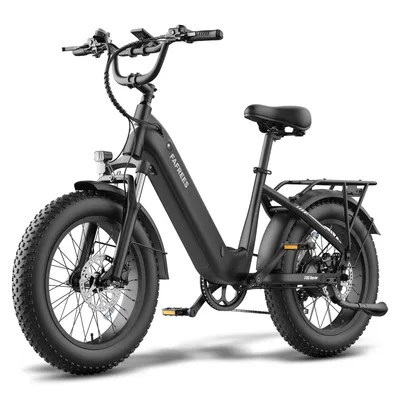 Produktbild von F20 Rover City-Elektrofahrrad, niedriger Einstieg, 250 W, 48 V 20 Ah, bis 150 kg, schwarz