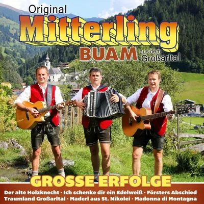 Obrázek produktu pro Original Mitterling Buam: Große Erfolge -   - (CD / G)
