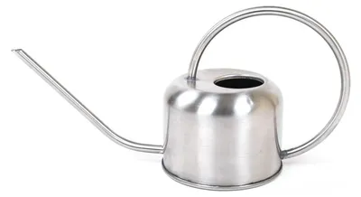 Image de Arrosoir en acier inoxydable 0,8 litre Arrosoir pour fleurs Arrosoir à eau Arrosoir pour fleurs