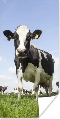 Produktbild von MuchoWow® Poster Kühe - Gras - Tiere - Sonne - Bauernhof 20x40 cm - Plakat - Foto