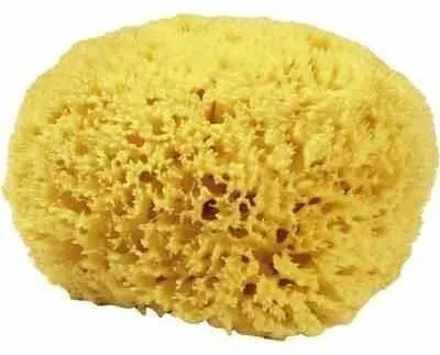 Produktbild von Naturschwamm P160 Premium, ca. 16 cm
