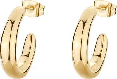 Obrázok produktu pre Náušnice kruhové Brosway Gold Collection Essential - žena