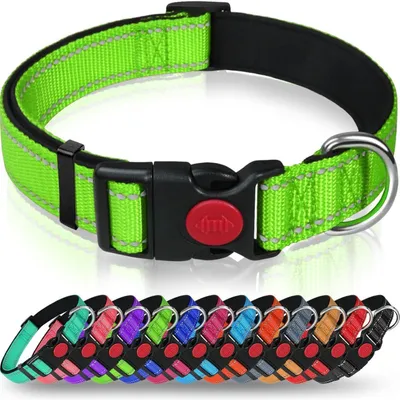 Immagine prodotto di Collare per cani, neoprene e nylon, regolabile, riflettente, verde, taglia L (40-60 cm)