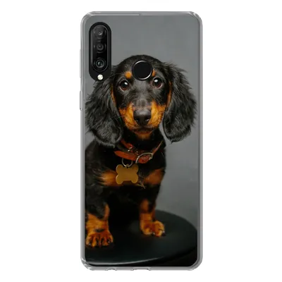 Produktbild von MuchoWow® Handyhülle Schutzhülle Hülle für Huawei P30 Lite Studiofoto eines Dackelwelpen Silikon Softcase Handy Hülle - Handyhülle