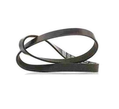 Produktbild von DAYCO Keilrippenriemen 1019,0mm für FORD Fiesta Mk6 Schrägheck (JA8, JR8) 6PK1019EE