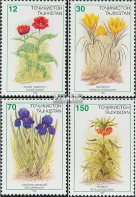 Produktbild von Briefmarken Tadschikistan 1998 Mi 124-127 (kompl.Ausg.) postfrisch Flora