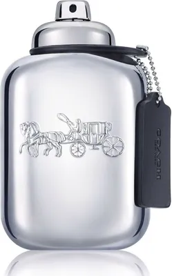 A silver perfume bottle with the Coach logo.