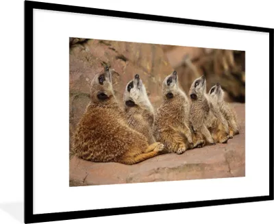 Produktbild von MuchoWow® Gerahmtes Poster Erdmännchen - Felsen - Natur 90x60 cm - Poster mit Schwarzem Bilderrahmen Wandposter Rahmen Foto Bilder - Wanddekoration - Fotos