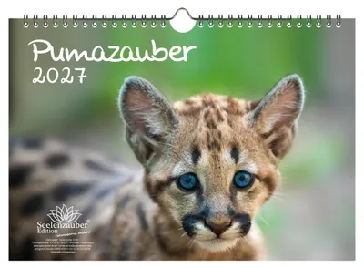 Produktbild von Pumazauber DIN A4 Kalender für 2027 Puma - Seelenzauber