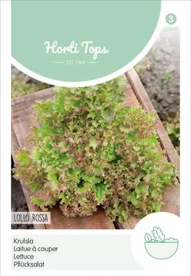 Produktbild von Pflücksalat Lollo Rossa | Pflücksalatsamen von Hortitops