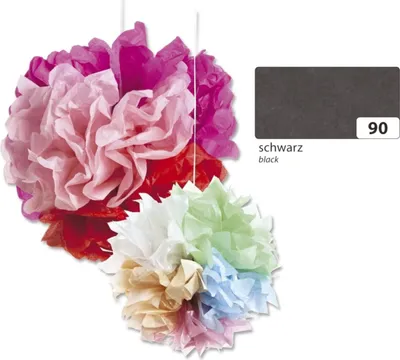 Image de Folia 91090 Soie florale - 50 x 70 cm, 5 feuilles, noir