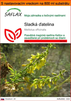 Obrázok produktu pre SAFLAX Garden in the bag - sladká ďatelina - Melilotus officinalis - 250 Semená - S pestovateľským substrátom v praktickom samostaviteľnom vrecku