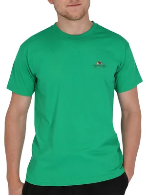 Produktbild von Fruit of the Loom Valueweight T mit Vintage-Logo Farbe: maigrün Größe: L