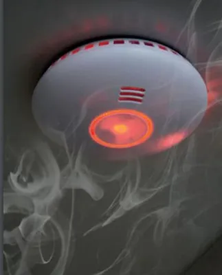 Image de Détecteur de fumée HOMESMOKE connecté Wifi - AVIDSEN - 127065
