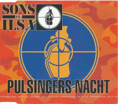 Produktbild von Pulsingers Nacht