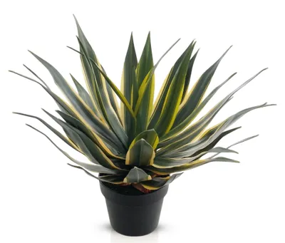 Produktbild von Meisterhome® Agave Kunstpflanze 55 cm – Künstliche Zimmerpflanze – Realistische Agavenpflanze – Dekorative Sukkulente pflegeleicht mit Topf