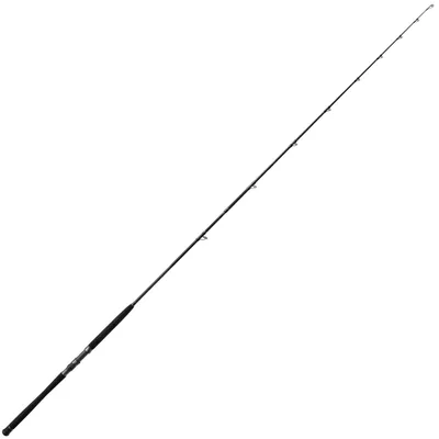 Produktbild von Bullseye Nazgul 260 30lbs Wallerrute