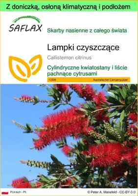 Zdjęcie produktu dla SAFLAX - Garden to go - Lampki czyszczące - 400 Nasiona - Z doniczką, pokrywą klimatyczną i podłożem do uprawy - Callistemon citrinus