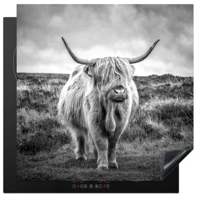 Produktbild von KitchenYeah© Herdabdeckplatte Schottischer Hochländer - Tiere - Wolken - Kuh - Natur , 78x78cm, Küche Deko, Glaskeramikkochfeld Herdabdeckung, Abdeckplatte fùr Kochfeld