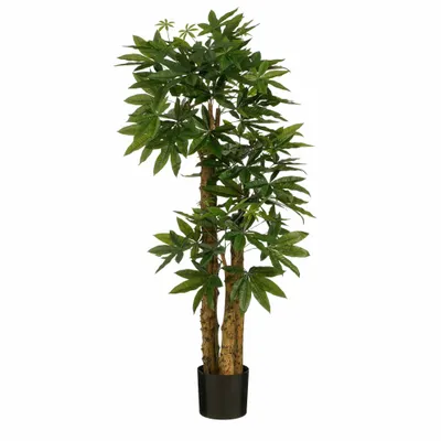 Obrázek produktu pro Slídové dekorace Umělá rostlina Pachira - H175 x Ø85 cm - zelená