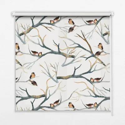 Produktbild von Seitenzug-Rollo Fensterrollo Jalousie - Thermo-Rollo Verdunkelungsrollo - 150x240 cm - Vögel im Baum
