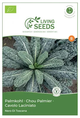 Produktbild von Grünkohl Nero di Toscana 4.85g Saatgut von Living Seeds