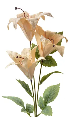 Image de Clayre & Eef Fleur artificielle 72 cm Beige Plastique