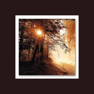 Produktbild von Metallbild Autumn Forest II 50x50 cm