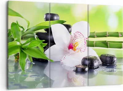 Produktbild von Bild auf Leinwand - Leinwandbild - blume orchidee - 105x70cm - Wand Bild - Wanddeko - Wandbilder - Leinwanddruck - Bilder - Kunstdruck - Wanddekoration - Leinwand bilder - Wandkunst - CE105x70-3659