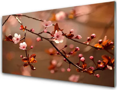 Produktbild von Acrylglasbilder 100x50 Wandbild Druck Blütenzweig Natur