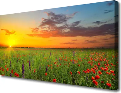 Produktbild von Tulup Leinwand-Bilder 100x50 Wandbild Canvas Kunstdruck Sonne Wiese Blumen Natur