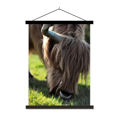 Produktbild von MuchoWow® Textilposter Schottischer Highlander - Hörner - Sonne 60x80 cm mit schwarzem Rahmen - Plakathalter