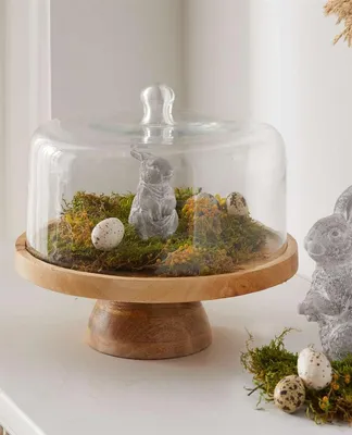 Produktbild von Servierplatte aus Mango Holz mit Haube aus Glas, Käseglocke, Holzteller mit Glasglocke, Servierbrett