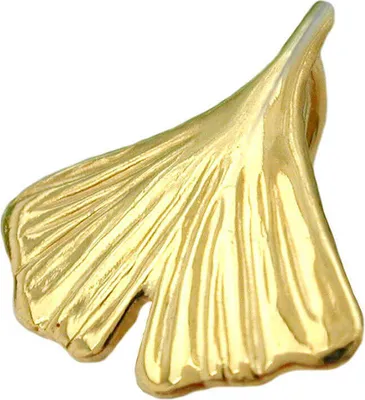 Produktbild von Anhänger Ginkgoblatt 12x12mm aus 9Kt 375 Gold Gelbgold glänzend