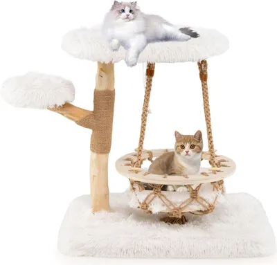 A cat tree with two cats on it, set against a white background.