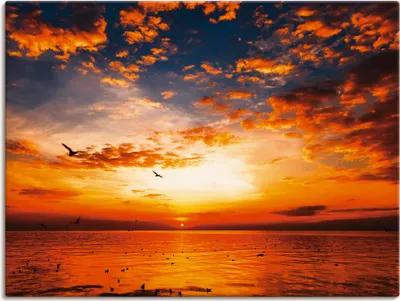 Produktbild von ARTland Leinwandbild Sonnenuntergang am Strand Größe: 80x60 cm
