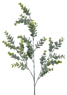 Produktbild von Eukalyptus Zweig künstlich 73cm