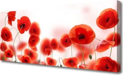 Produktbild von Tulup Leinwand-Bilder 125x50 Wandbild Canvas Kunstdruck Mohnblumen Pflanzen