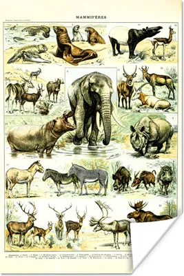 Produktbild von MuchoWow® Poster Tiere - Elefanten - Hirsche 120x180 cm - Kunstposter