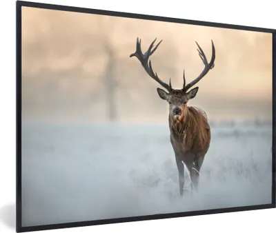 Produktbild von MuchoWow® MuchoWow® Gerahmtes Poster Hirsche - Natur - Winter 60x40 cm - Poster mit zchwarzem Bilderrahmen - Printing - Wanddeko Schlafzimmer