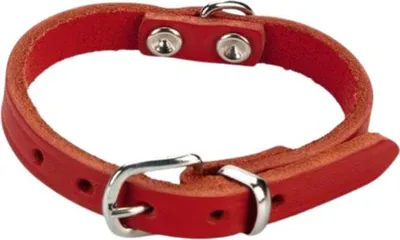 Produktbild von Beeztees - Hundehalsband - Leder - rot - 17,5-22,5 cm x 10 mm
