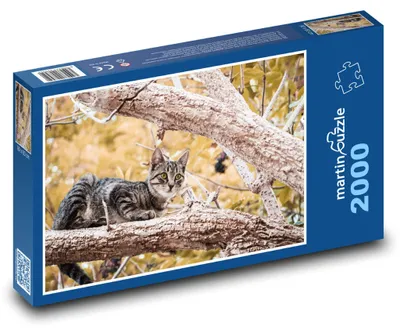 Zdjęcie produktu dla martinpuzzle - Puzzle 2000 - Kot na drzewie