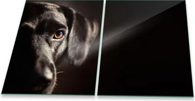 Produktbild von Herdabdeckplatte Glaskeramik 2-Teilig 2x40x52 Hund Schwarz Abdeckung Spritzschutz Glas